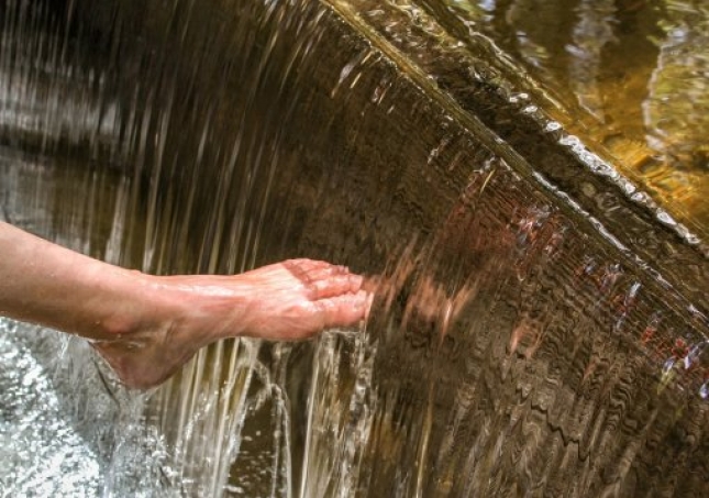 艾葉泡腳的方法-用艾草泡腳時，要記住禁忌哪些，很多人不懂，總是泡錯？
